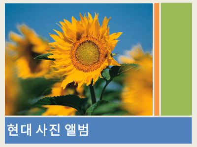 사진 앨범|현대 사진 앨범 사진 앨범|현대 사진 앨범